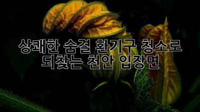 상쾌한 숨결, 환기구 청소로 되찾는 천안 입장면 🏡✨
