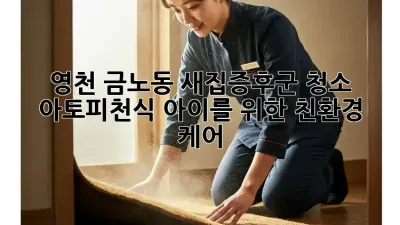 영천 금노동 새집증후군 청소, 아토피&천식 아이를 위한 친환경 케어