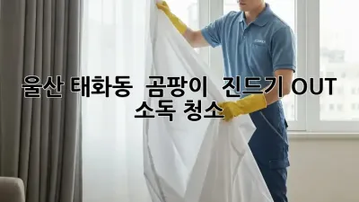 울산 태화동 🏠 곰팡이 & 진드기 OUT! 소독 청소 ✨